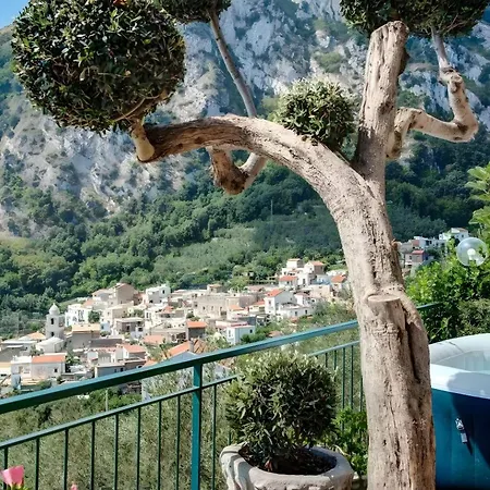 شقة Ulivello House Sea View ماسّا لوبْرينسِ
