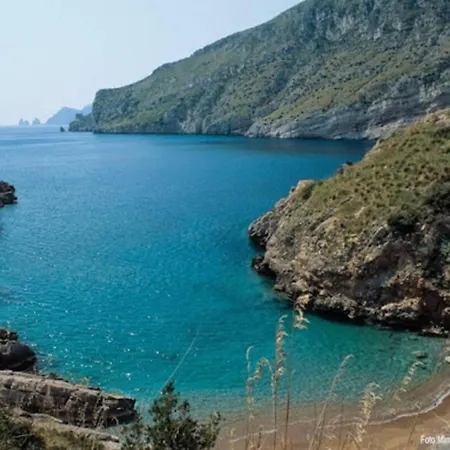 Ulivello House Sea View Daire Massa Lubrense